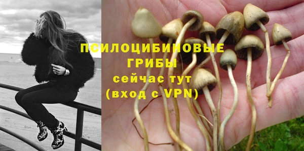 метадон Алексеевка